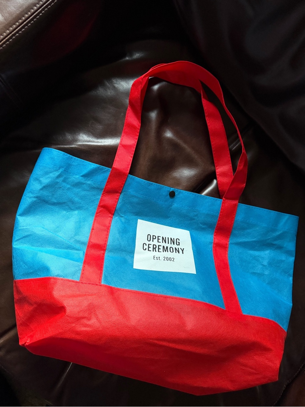 Opening Ceremony Colorblock Blue and Red Tote